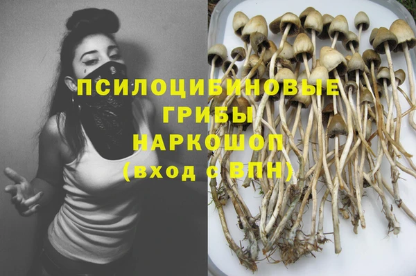 мяу мяу мука Абдулино