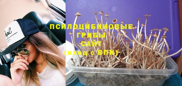 бутират Абаза